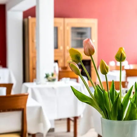 فندق Jaegerhaus In Am Hohentwiel 3*