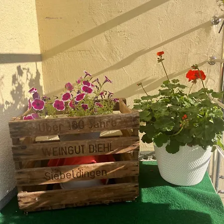 Jaegerhaus In Am Hohentwiel Hotel