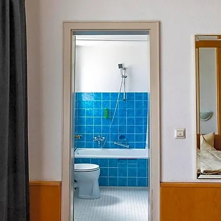 Jaegerhaus In Am Hohentwiel 3* Σίνγκεν