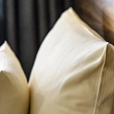 Hotel Jaegerhaus In Am Hohentwiel 3*