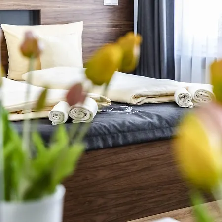 Jaegerhaus In Am Hohentwiel 3* Singen