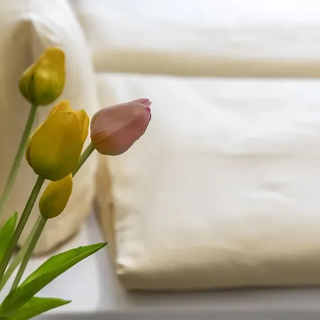 Jaegerhaus In Am Hohentwiel 3*