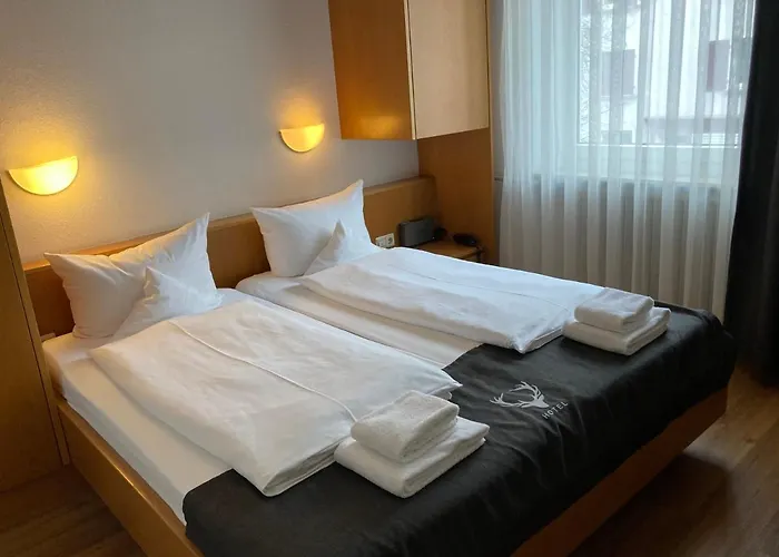 Jaegerhaus In Am Hohentwiel 3* 징엔