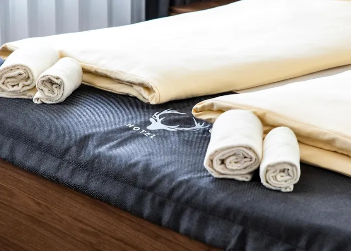 Jaegerhaus In Am Hohentwiel 3*