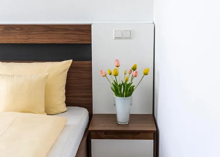 Jaegerhaus In Am Hohentwiel 호텔 3*