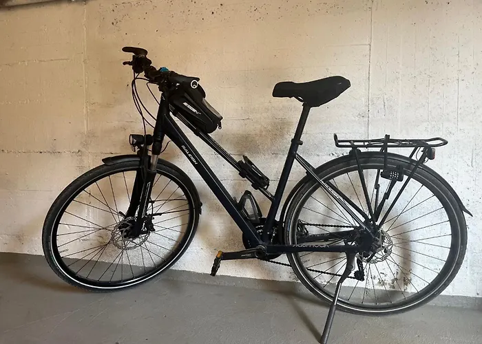 호텔 Jaegerhaus In Am Hohentwiel 징엔