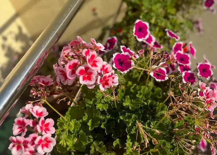 호텔 Jaegerhaus In Am Hohentwiel