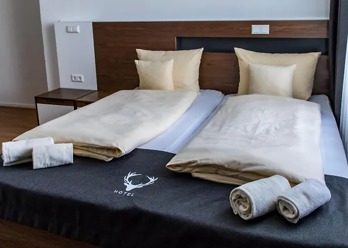 Jaegerhaus In Am Hohentwiel 호텔 3*