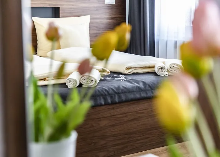 Jaegerhaus In Am Hohentwiel 3* 징엔