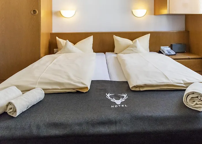 Jaegerhaus In Am Hohentwiel 호텔