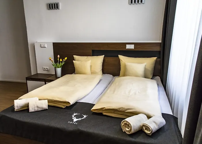 Jaegerhaus In Am Hohentwiel 징엔