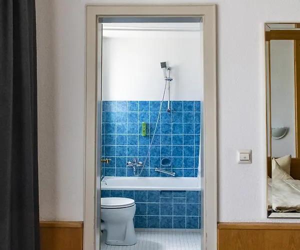 호텔 Jaegerhaus In Am Hohentwiel 징엔