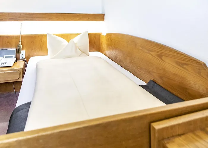 호텔 Jaegerhaus In Am Hohentwiel 3*